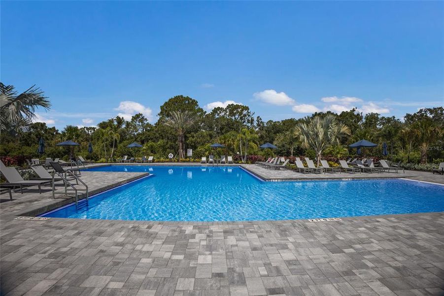 Community amenities in , Lakewood Ranch (Image 60).