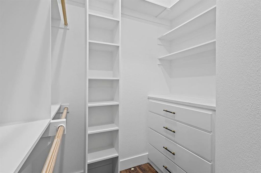 Spacious closet featuring dark wood-type flooring