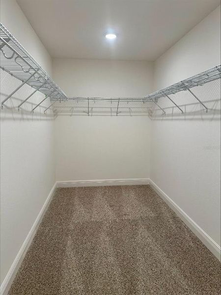 Primary Walk-In Closet