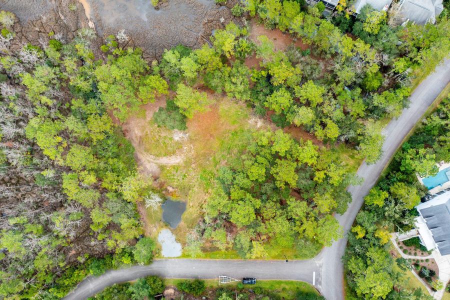 Natural landscape and outdoor views near  in Johns Island (Image 5).