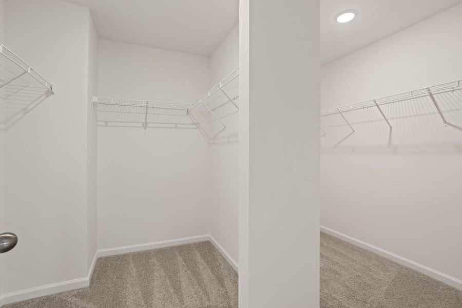 Spacious, unfurnished interior of a new home in Bellevue, Greenville (Image 29).