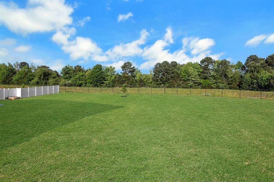 Natural landscape and outdoor views near Edinburgh in Locust Grove (Image 38).