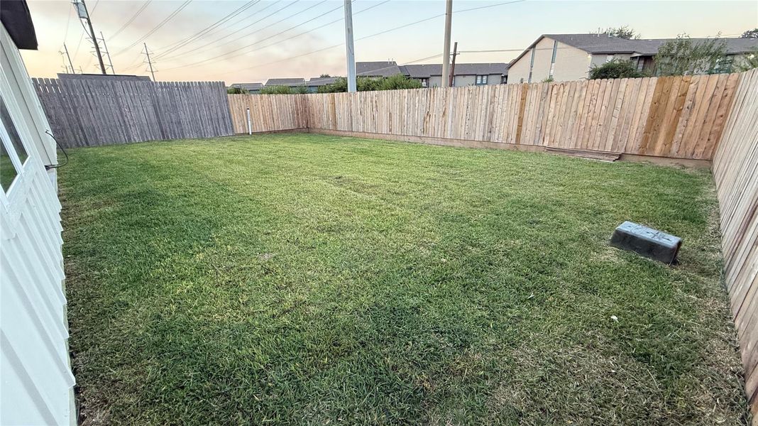 Large backyard