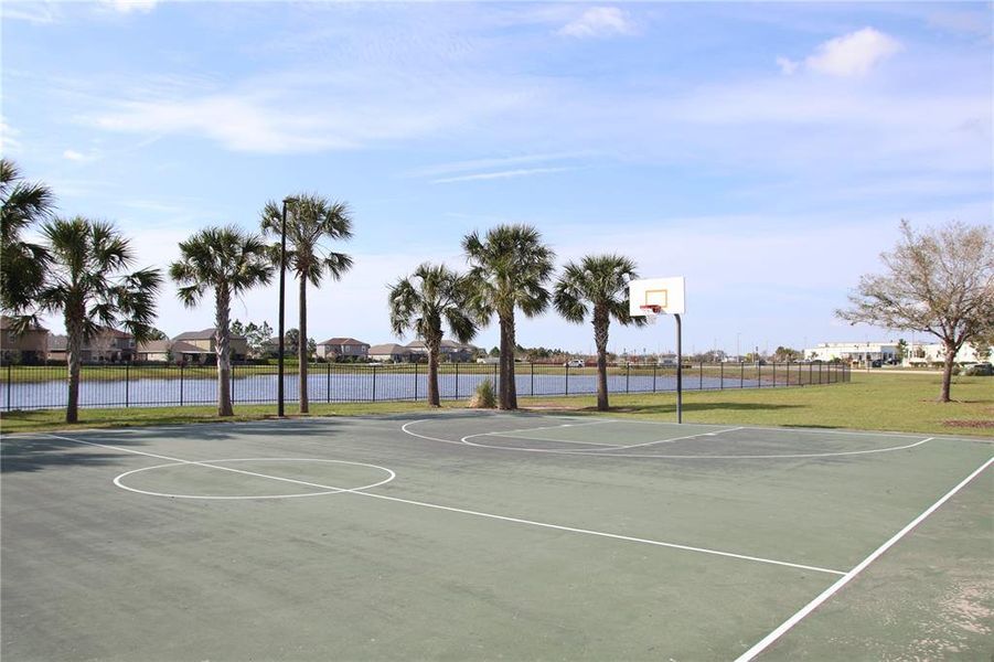 Basketball Court