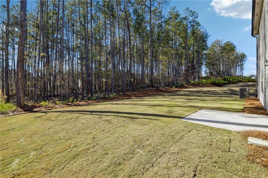 Exterior details and patio area of a home in The Pointe at Heron Bay, Locust Grove (Image 22).