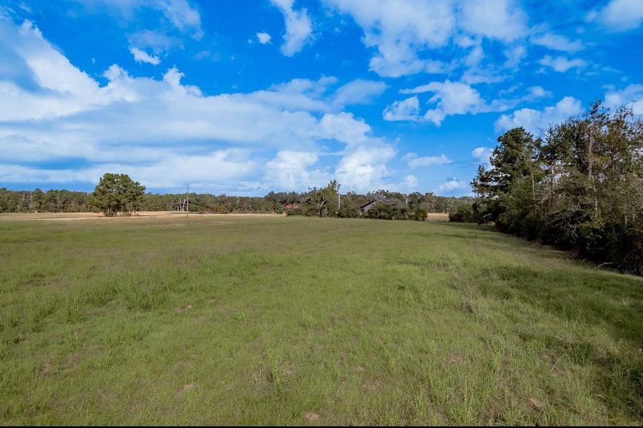 Natural landscape and outdoor views near  in Groveton (Image 30).