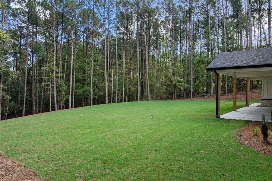 Natural landscape and outdoor views near  in Winder (Image 44).