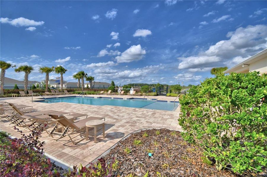 Community amenities in Harmony at Lake Eloise, Winter Haven (Image 90).