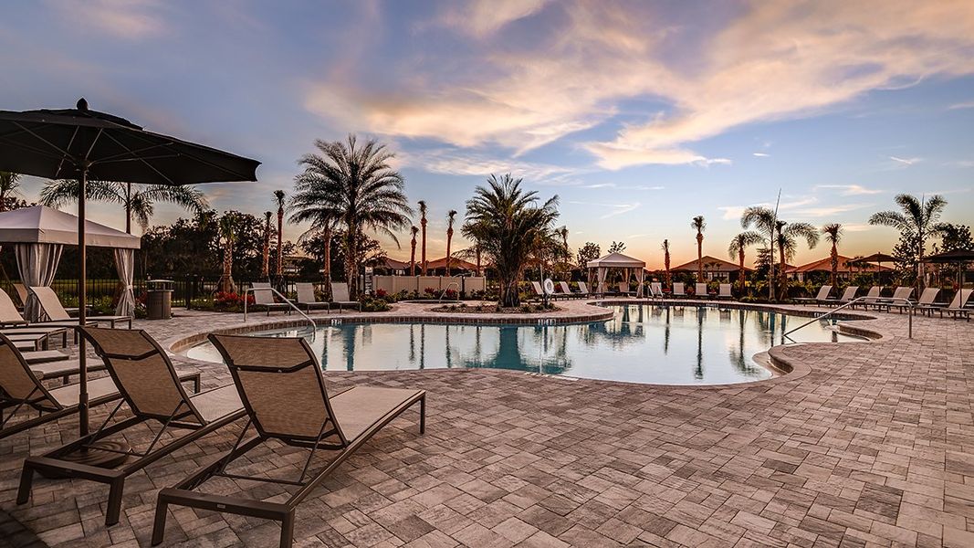 Community amenities in Skye Ranch Community Group Page, Sarasota (Image 61).