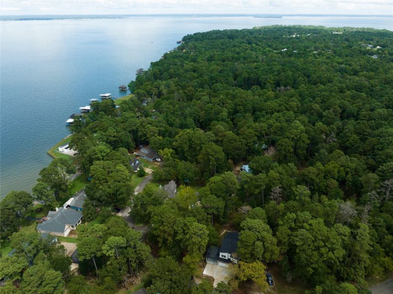This is an aerial view showcasing a serene lakeside community nestled in a lush forested area, featuring waterfront properties with private docks, offering a tranquil and private living environment with direct access to the water.