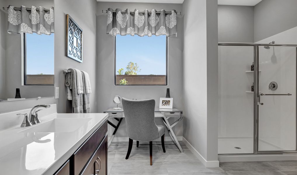 Vanity in owner's bath