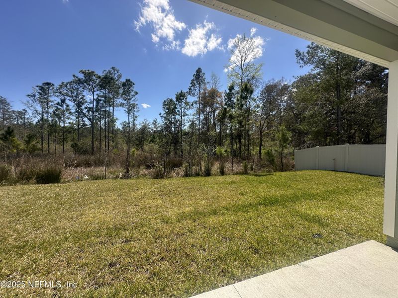 Exterior details and patio area of a home in Wilford Oaks, Orange Park (Image 2).