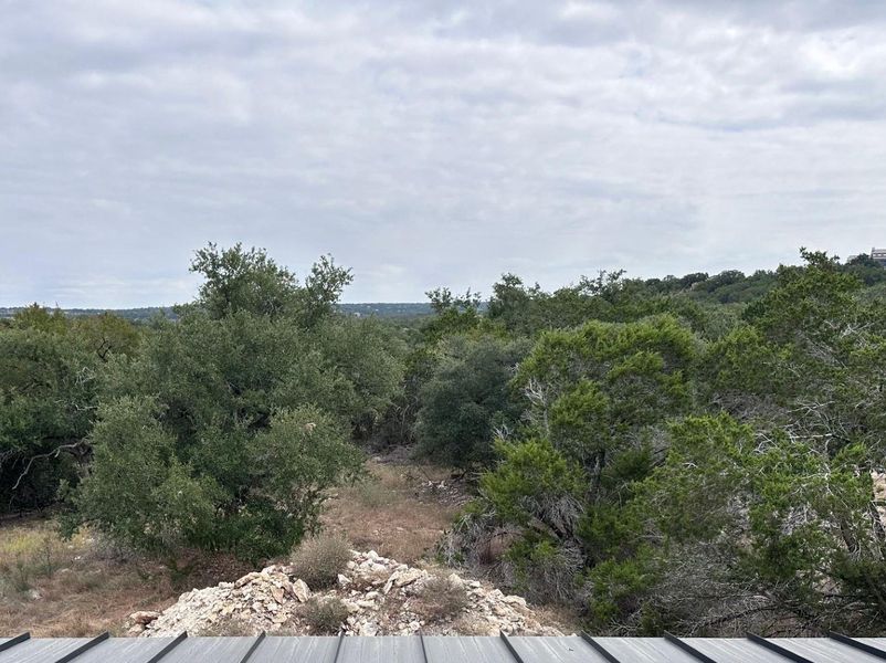 Backyard view