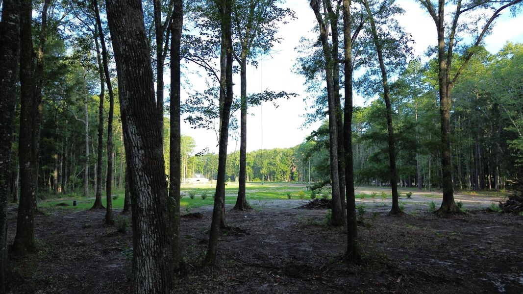 Natural landscape and outdoor views near in Ridgeville (Image 30). Natural landscape and outdoor views near in Ridgeville (Image 30).