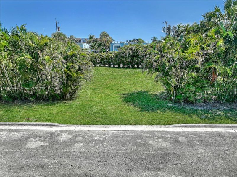 Natural landscape and outdoor views near  in Lake Worth (Image 18).