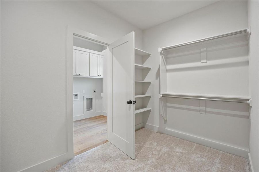 Spacious closet featuring light carpet