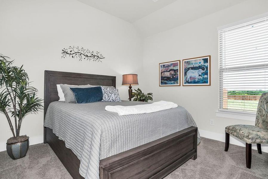Carpeted room featuring light-toned walls and a window with walk in closet