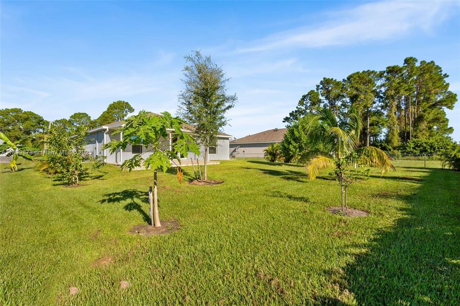 Natural landscape and outdoor views near in Lehigh Acres (Image 17). Natural landscape and outdoor views near in Lehigh Acres (Image 17).