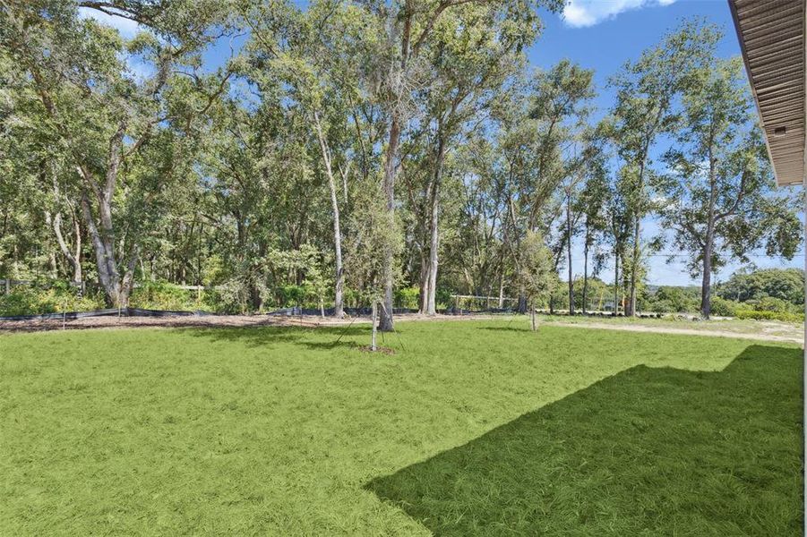 Natural landscape and outdoor views near Estes Reserve in Eustis (Image 15).