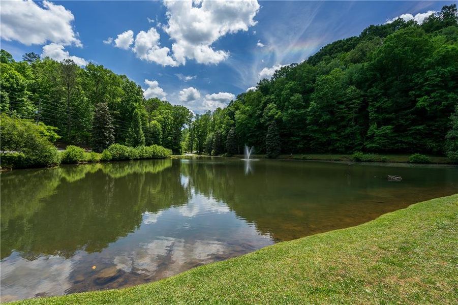 Natural landscape and outdoor views near  in Ellijay (Image 49).