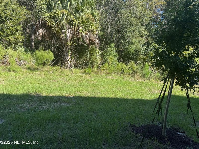 Natural landscape and outdoor views near Bridgewater in St. Augustine (Image 28).