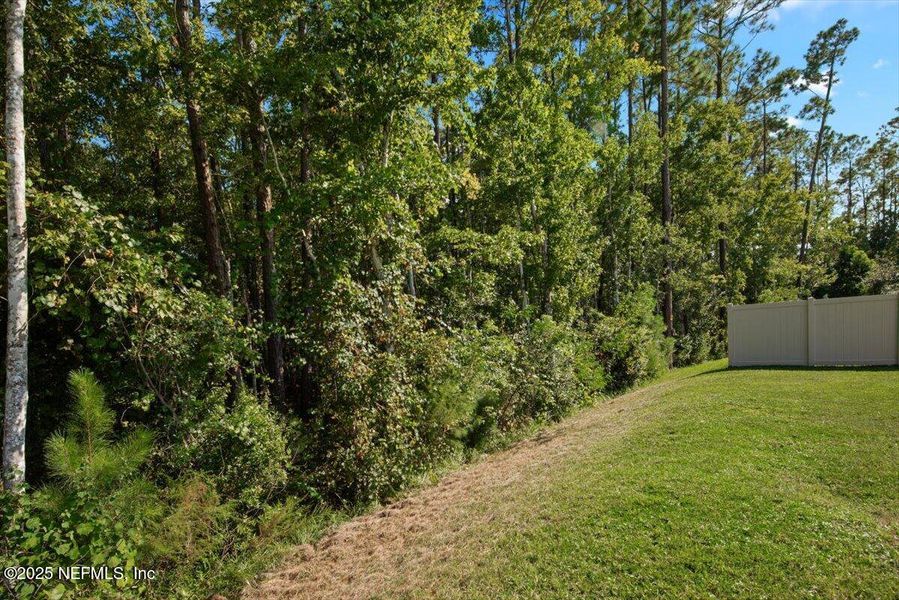Natural landscape and outdoor views near Willow Springs in Green Cove Springs (Image 38). Natural landscape and outdoor views near Willow Springs in Green Cove Springs (Image 38).