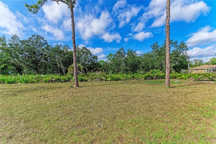 Natural landscape and outdoor views near  in North Port (Image 35).