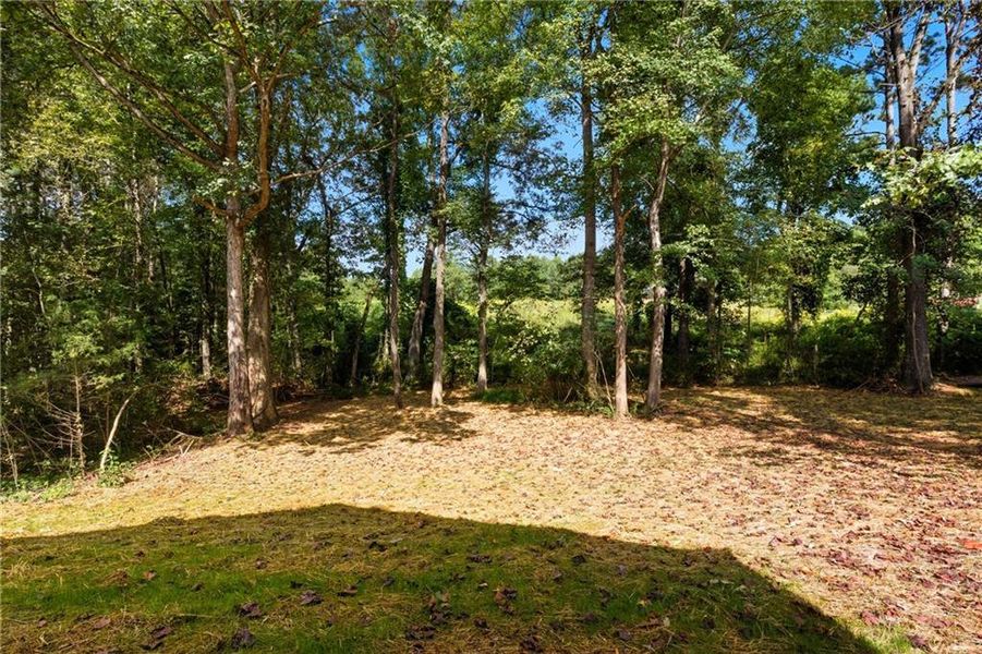 Natural landscape and outdoor views near  in Toccoa (Image 27).