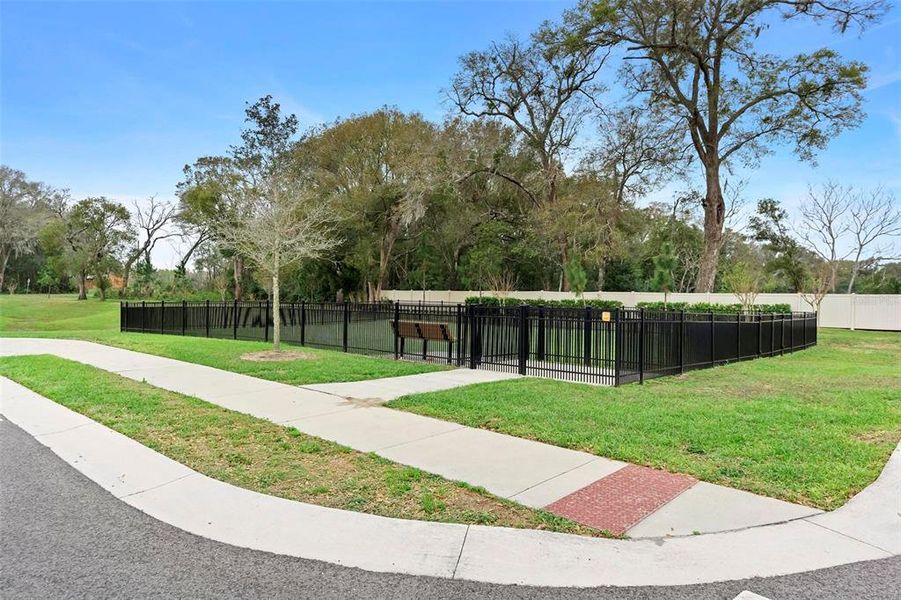 Front exterior of a new home in Addison Landing, Deland, FL, highlighting curb appeal (Image 31).