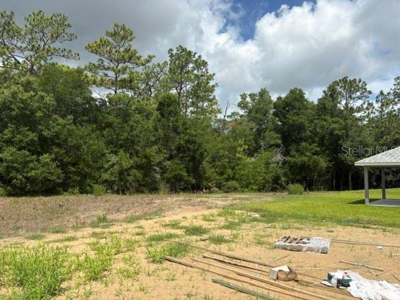 Natural landscape and outdoor views near Juliette Falls in Dunnellon (Image 10). Natural landscape and outdoor views near Juliette Falls in Dunnellon (Image 10).