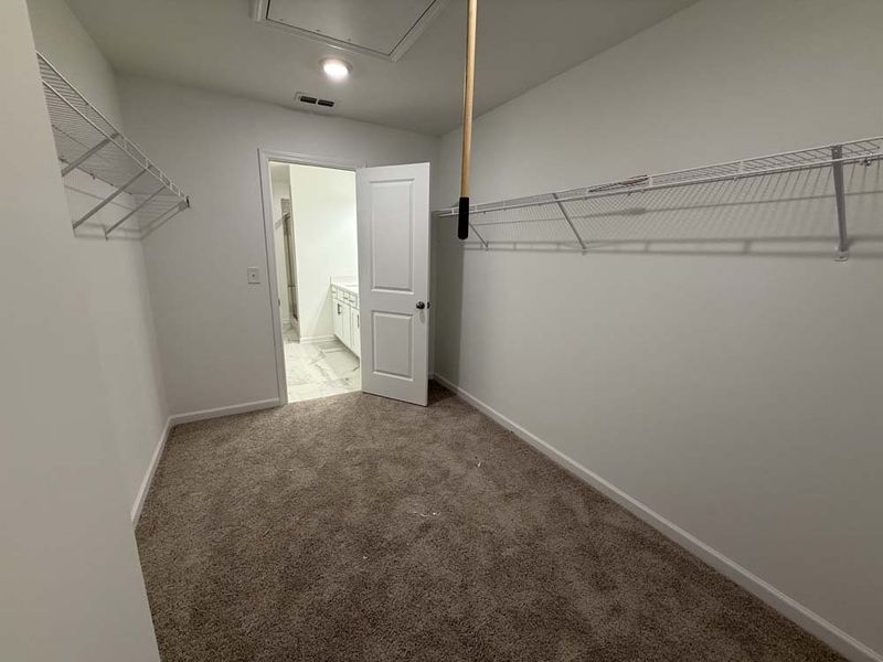 Primary Bedroom Walk-in Closet