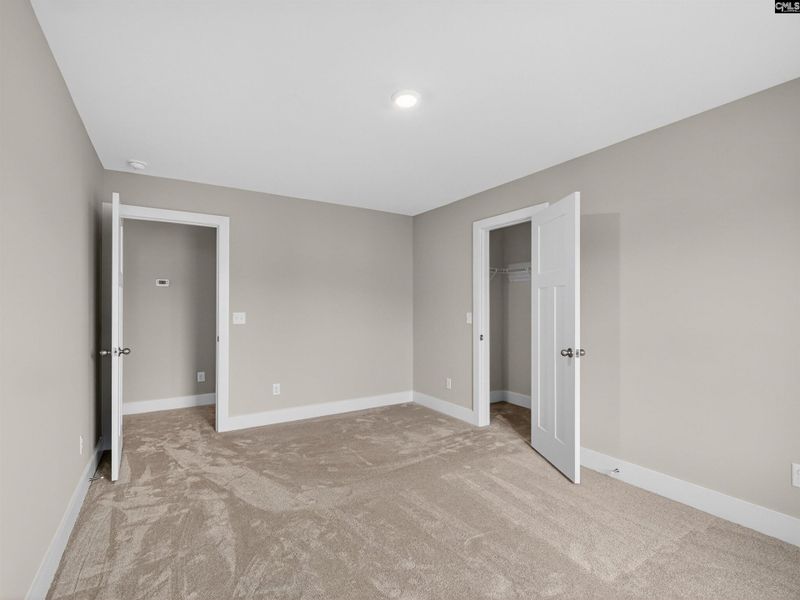 Spacious, unfurnished interior of a new home in Collins Cove, Chapin (Image 34).
