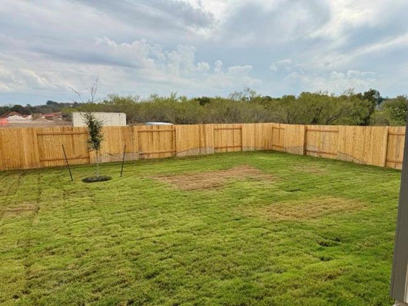 Private Backyard of Home