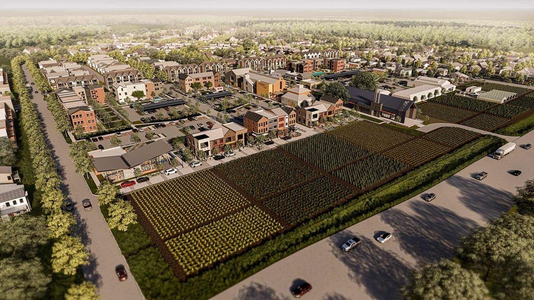 Community Lifestyle Community Lifestyle