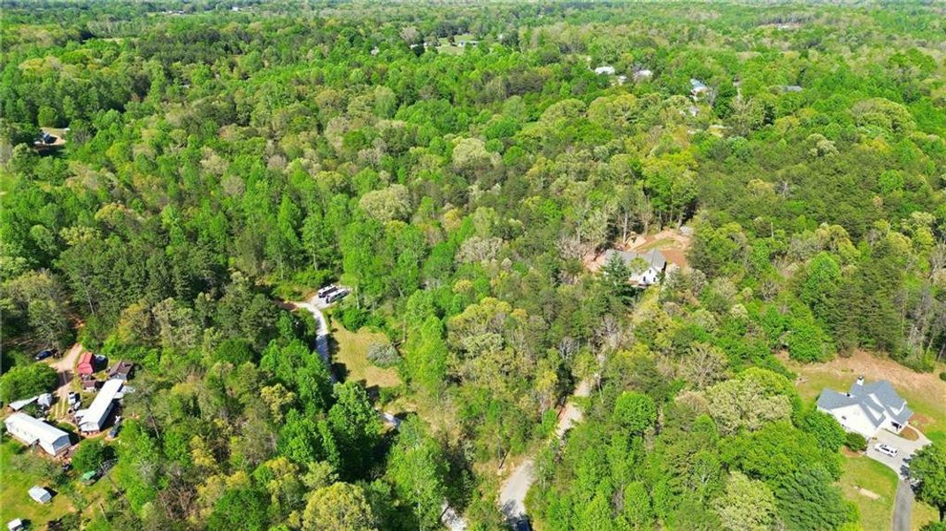 Natural landscape and outdoor views near  in Demorest (Image 59).
