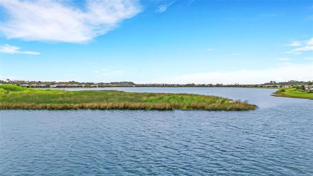 Natural landscape and outdoor views near  in Sarasota (Image 30).