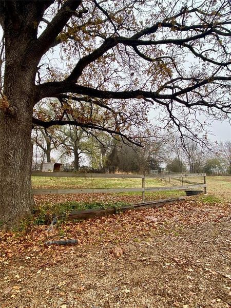Larger fenced area Larger fenced area