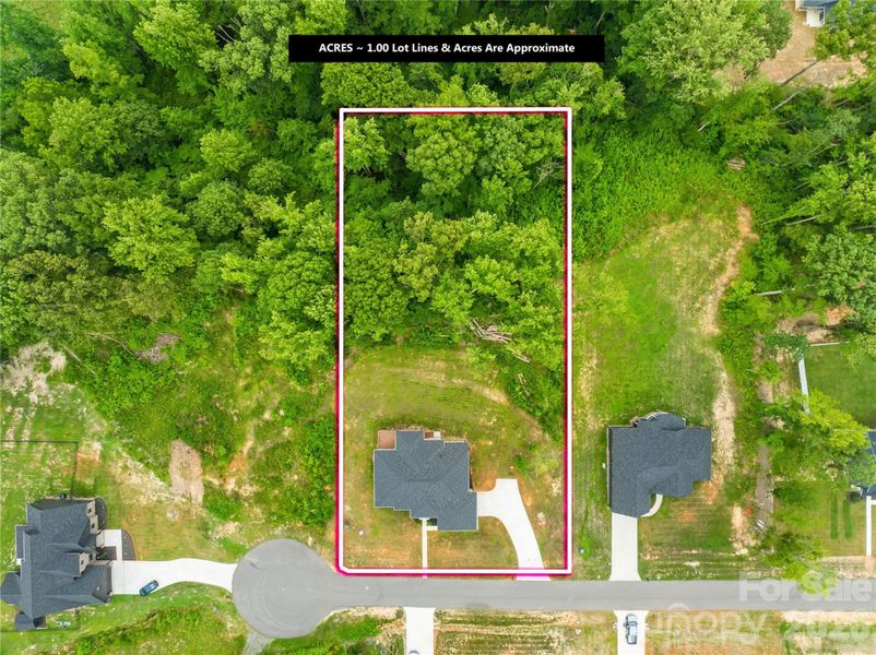 Site preparation for new homesites in , Bessemer City (Image 40).
