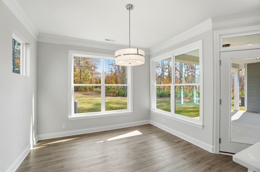 Spacious, unfurnished interior of a new home in Rone Creek, Waxhaw (Image 48).
