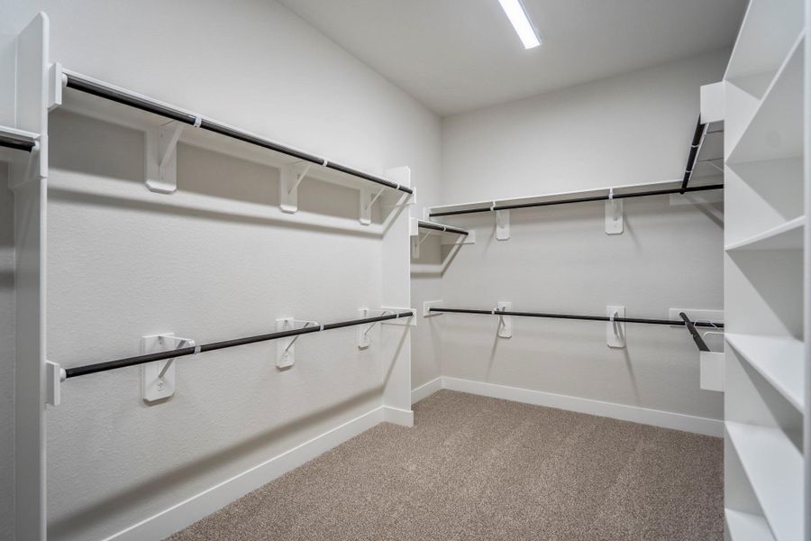 Image 50 of a home in Artavia 70′ Lots.