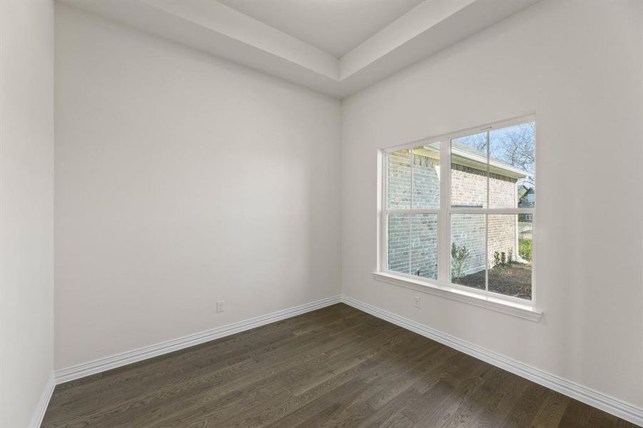 1481 Saguaro-Study-1 1481 Saguaro-Study-1