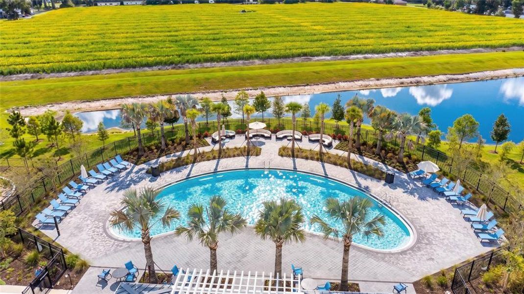 Community amenities in Park East, Plant City (Image 33). Community amenities in Park East, Plant City (Image 33).