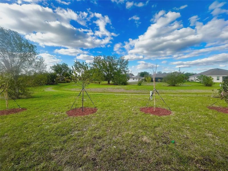 Natural landscape and outdoor views near Deep Creek in Punta Gorda (Image 27).