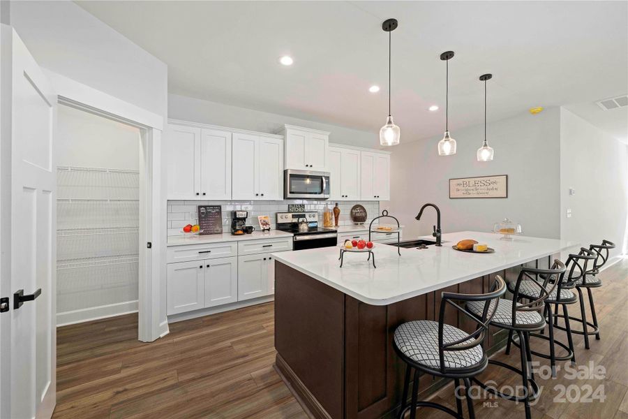 Other side Kitchen shows walk in Pantry.