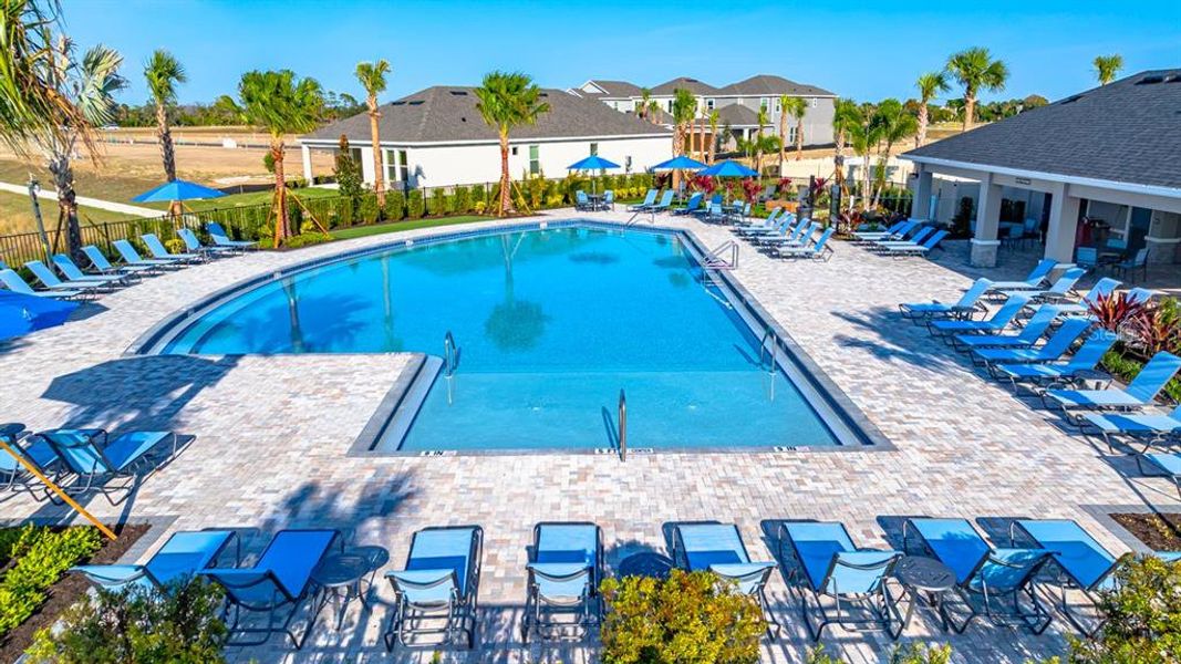 Community amenities in Indigo Creek, Apollo Beach (Image 59).