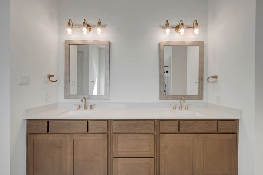 Owner's Bath