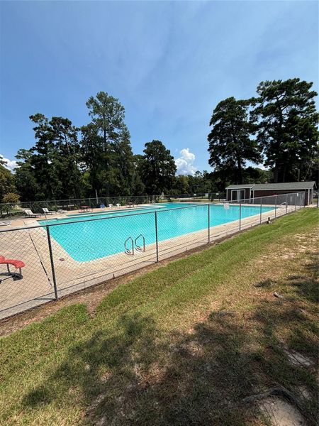 Community Pool