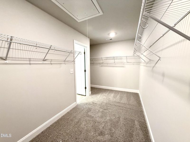 20250313225625756171000000-o