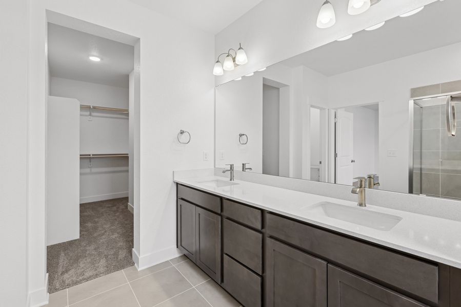 Owner's Bath