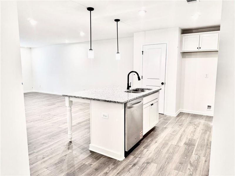 Furnished interior view inside a new home in Silver Leaf, Dawsonville (Image 7).